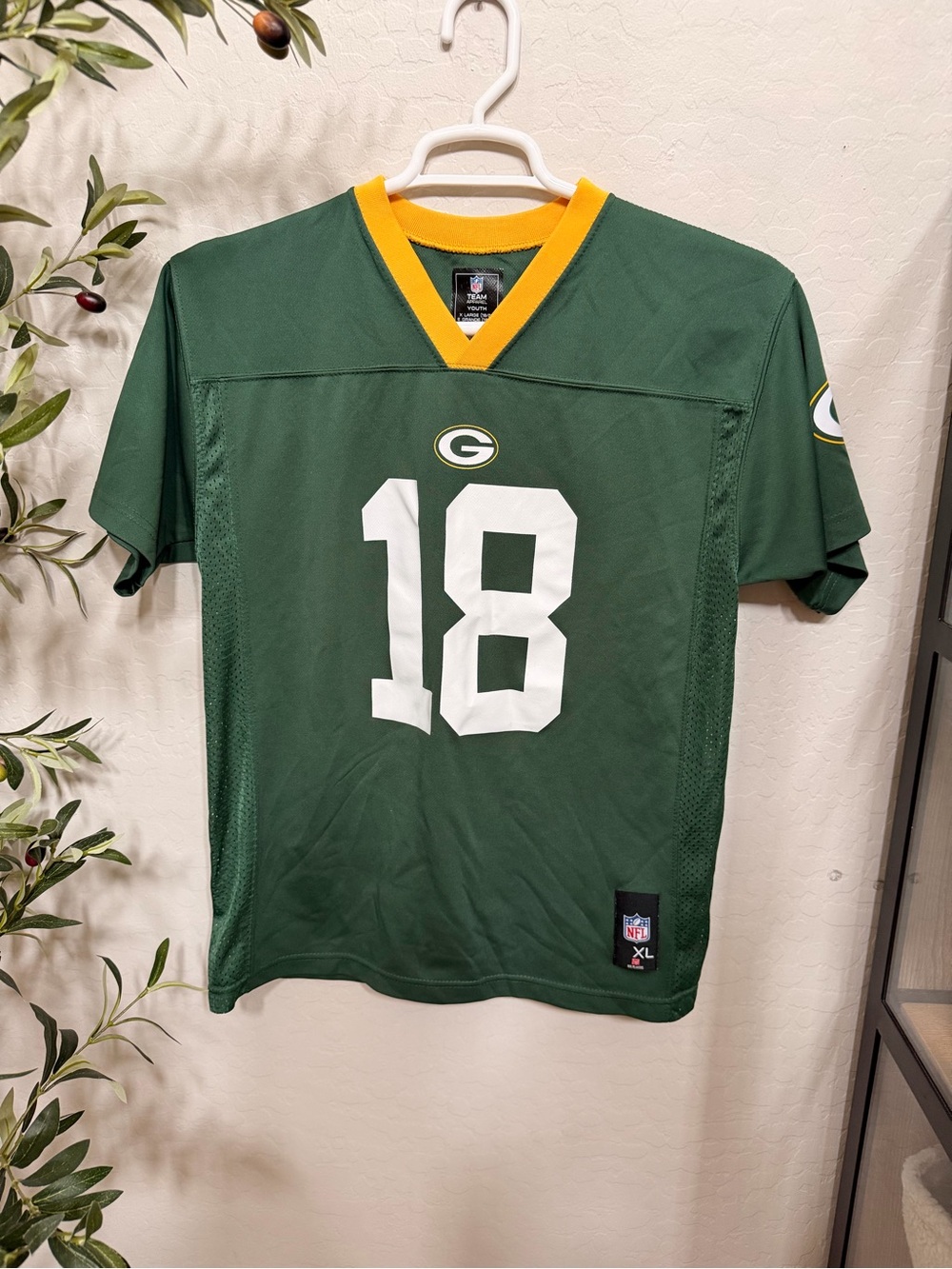 NFL Youth Football Jersey in Green & Yellow